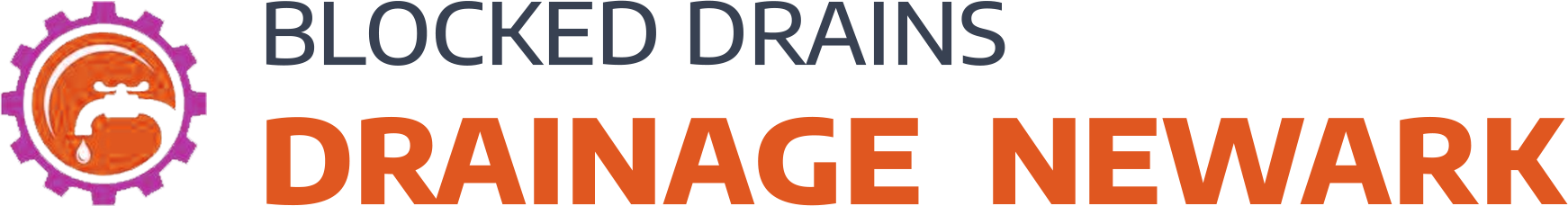 website logo
